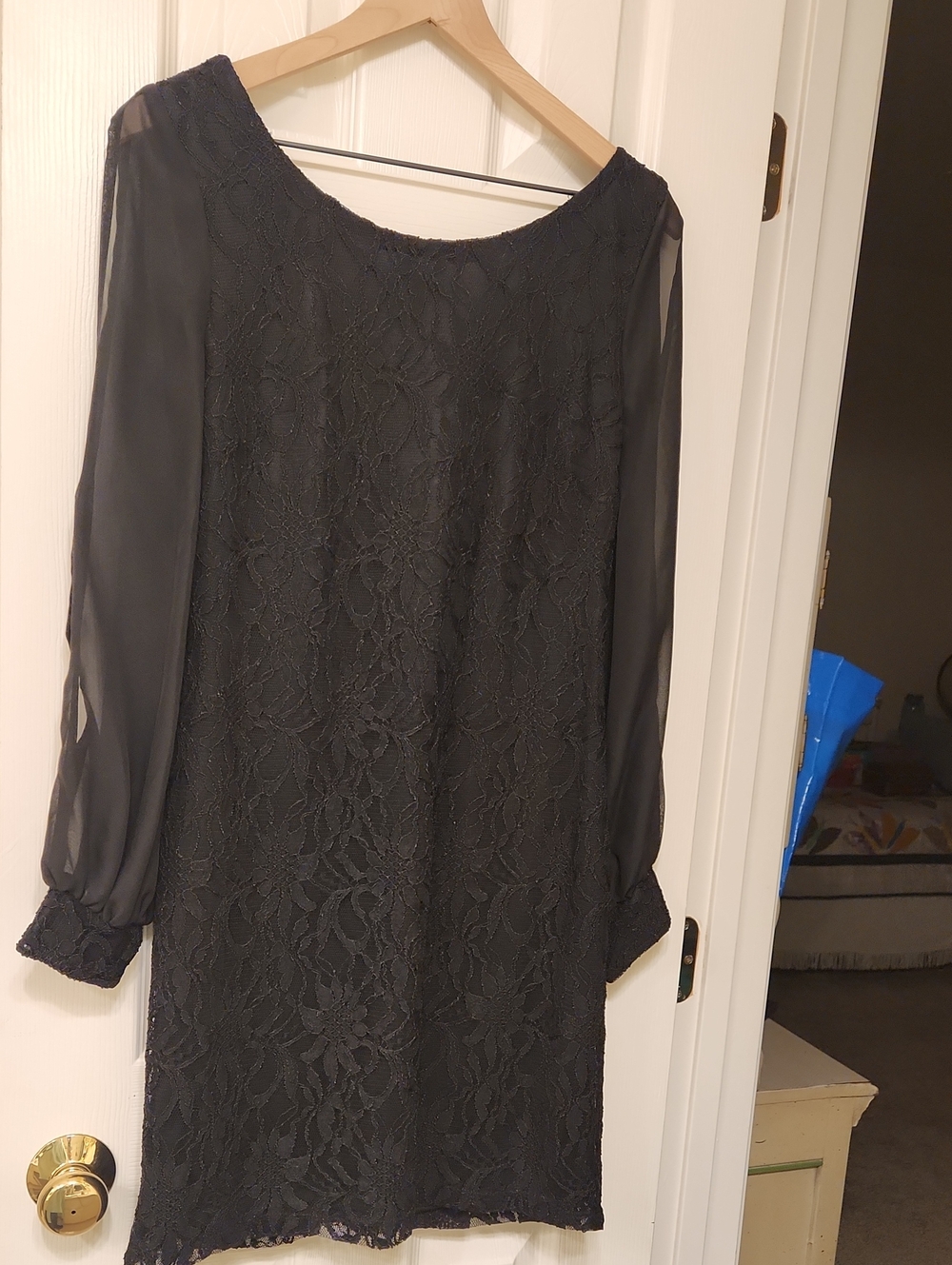 Women’s Black Lace Shift Dress with Sheer Sleeves